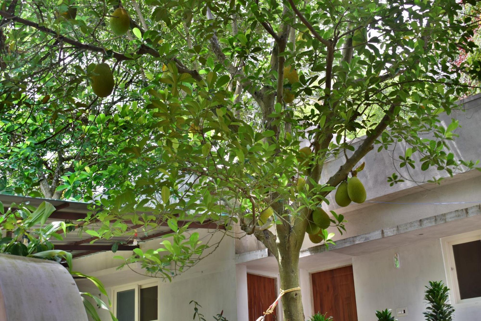 Silent Waters Resorts Yelagiri Εξωτερικό φωτογραφία
