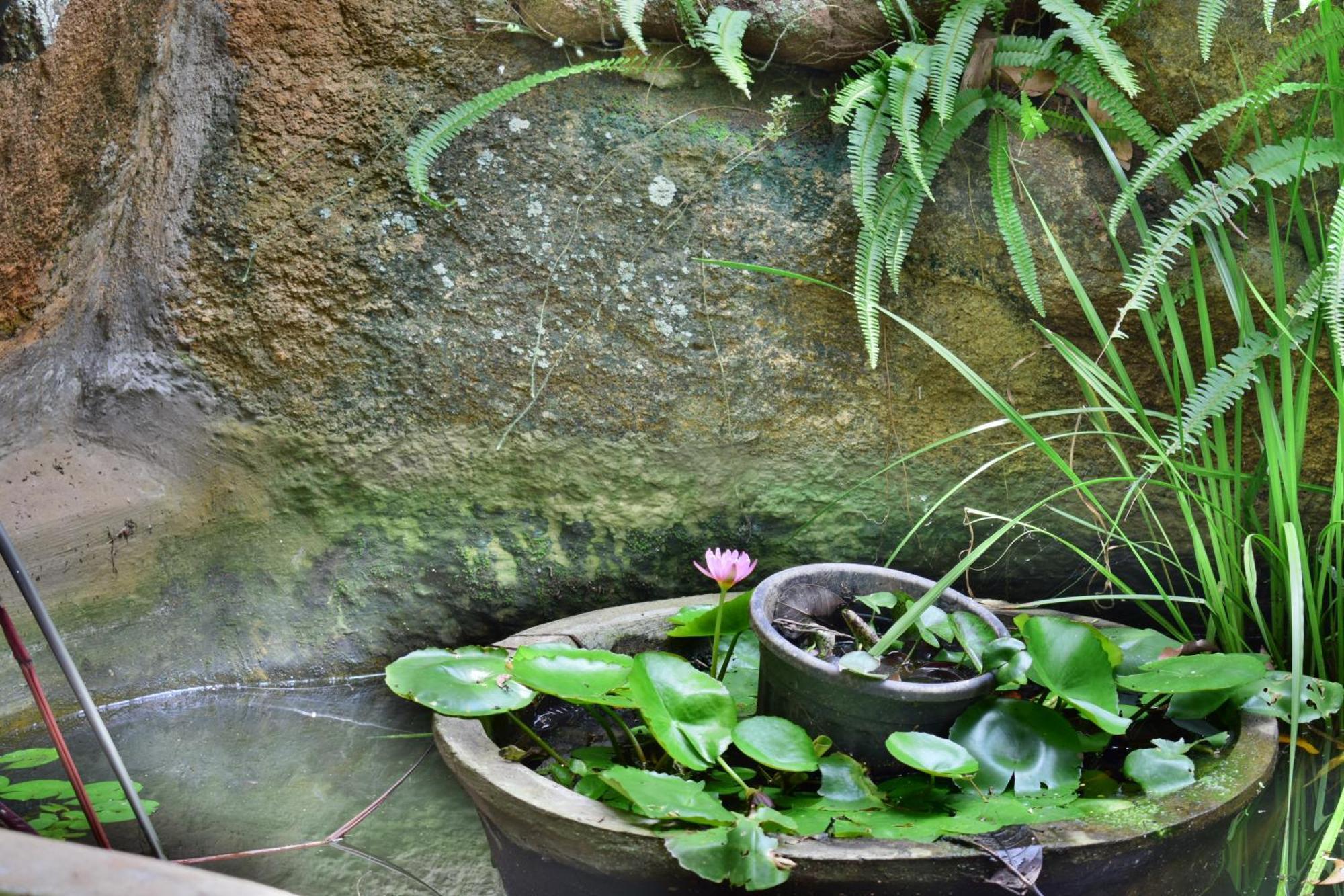 Silent Waters Resorts Yelagiri Εξωτερικό φωτογραφία